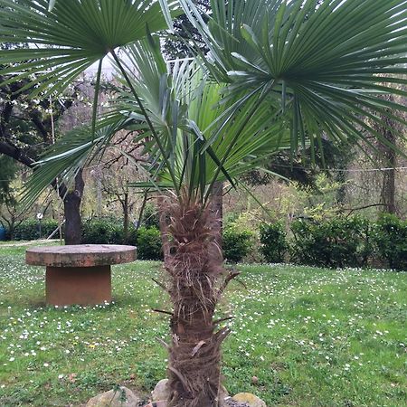 Locanda Irene Monte San Pietro Exterior foto